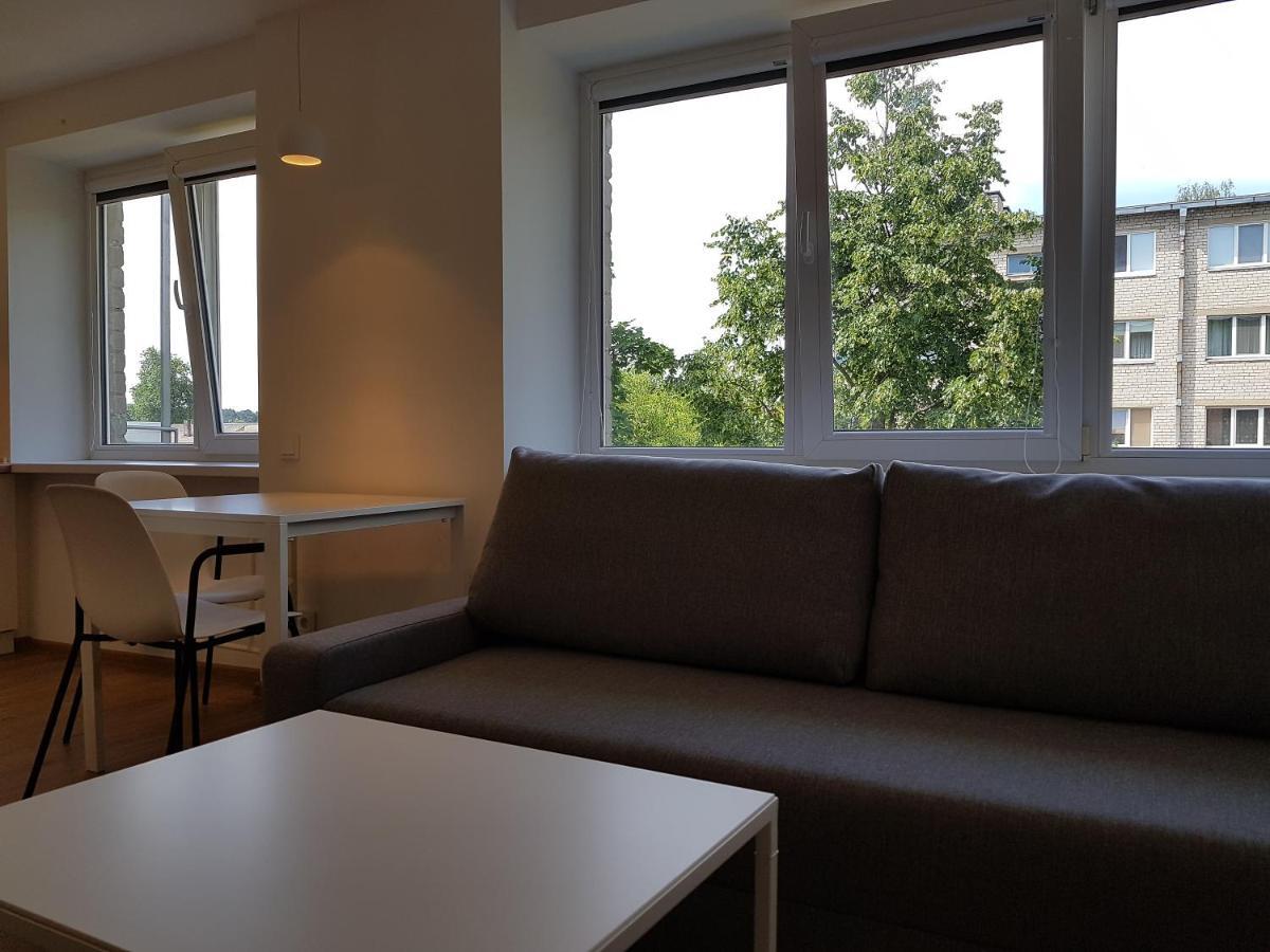 Anyksciai Cozy Studio المظهر الخارجي الصورة
