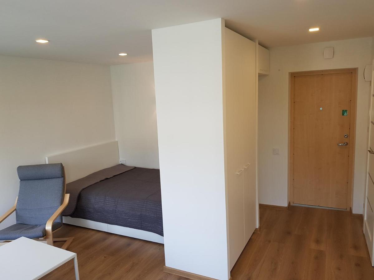 Anyksciai Cozy Studio المظهر الخارجي الصورة